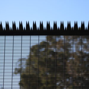 Monster Top Fence Spikes